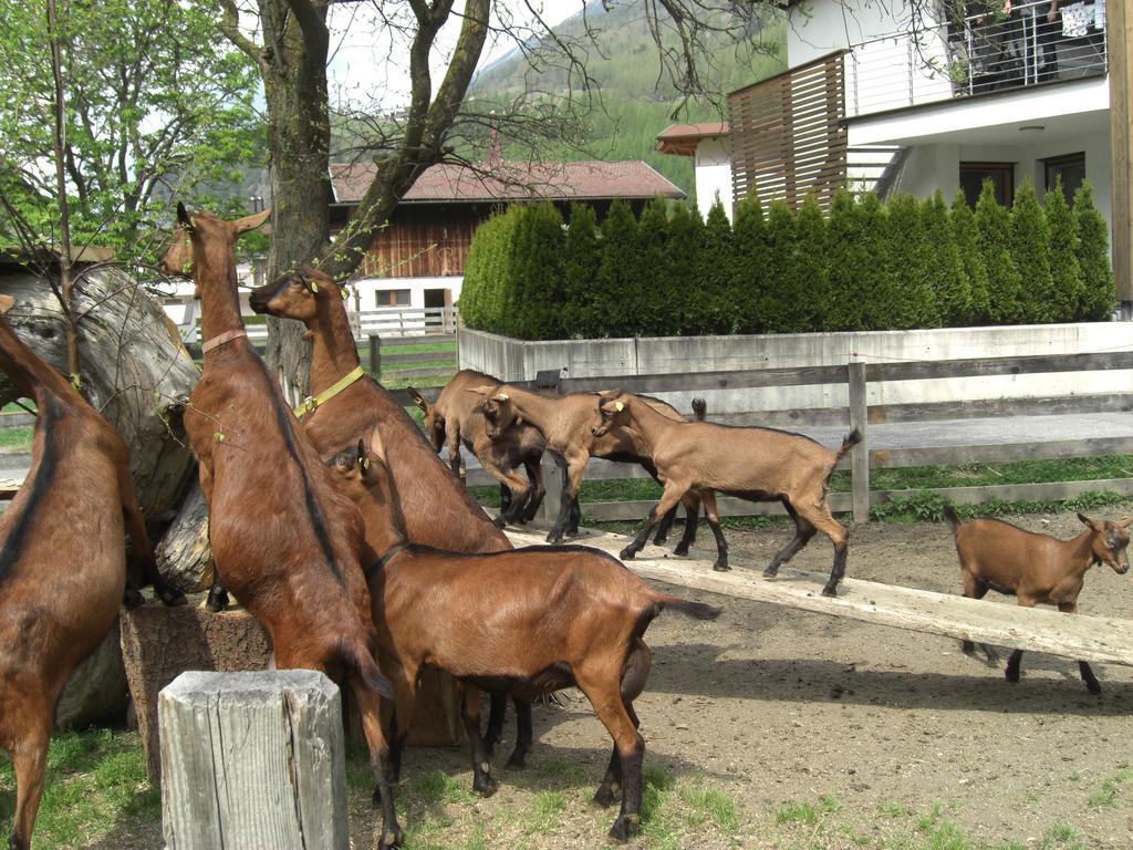 Bauernhof Kuen Villa Längenfeld Esterno foto